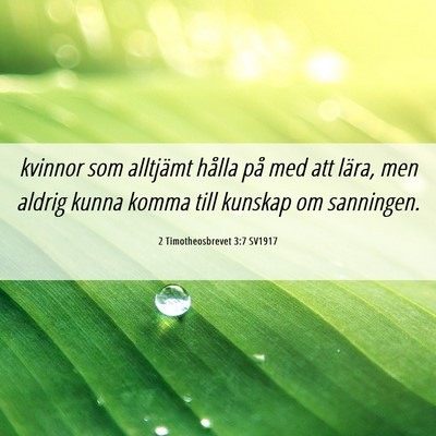 Picture 06 - 2 Timotheosbrevet 3:7 SV1917 - kvinnor som alltjämt hålla på med att lära, - Bible Verse Picture