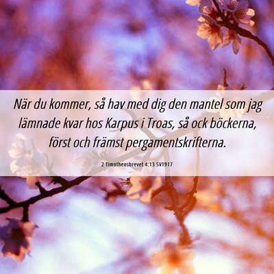 Picture 06 - 2 Timotheosbrevet 4:13 SV1917 - När du kommer, så hav med dig den mantel som - Bible Verse Picture