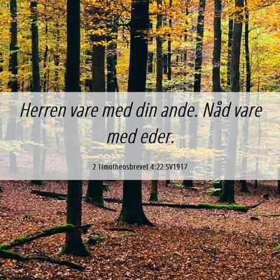 Picture 06 - 2 Timotheosbrevet 4:22 SV1917 - Herren vare med din ande. Nåd vare med - Bible Verse Picture