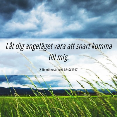 Picture 06 - 2 Timotheosbrevet 4:9 SV1917 - Låt dig angeläget vara att snart komma till - Bible Verse Picture