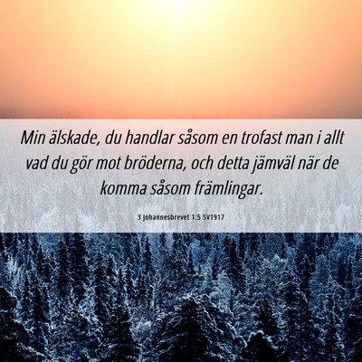 Picture 06 - 3 Johannesbrevet 1:5 SV1917 - Min älskade, du handlar såsom en trofast man i - Bible Verse Picture