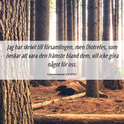 Picture 06 - 3 Johannesbrevet 1:9 SV1917 - Jag har skrivit till församlingen, men - Bible Verse Picture