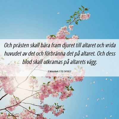Picture 06 - 3 Mosebok 1:15 SV1917 - Och prästen skall bära fram djuret till altaret - Bible Verse Picture