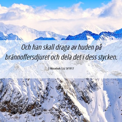 Picture 06 - 3 Mosebok 1:6 SV1917 - Och han skall draga av huden på - Bible Verse Picture