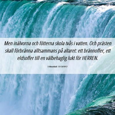 Picture 06 - 3 Mosebok 1:9 SV1917 - Men inälvorna och fötterna skola tvås i - Bible Verse Picture