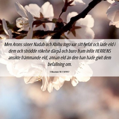 Picture 06 - 3 Mosebok 10:1 SV1917 - Men Arons söner Nadab och Abihu togo var sitt - Bible Verse Picture