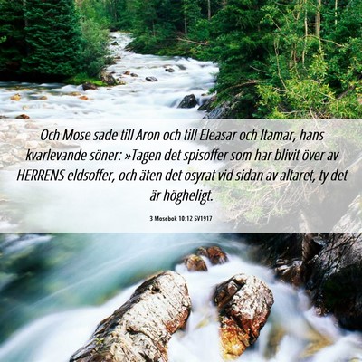 Picture 06 - 3 Mosebok 10:12 SV1917 - Och Mose sade till Aron och till Eleasar och - Bible Verse Picture