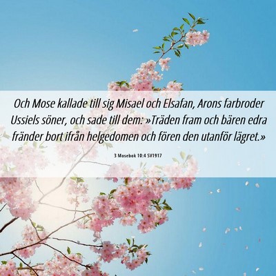 Picture 06 - 3 Mosebok 10:4 SV1917 - Och Mose kallade till sig Misael och Elsafan, - Bible Verse Picture