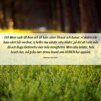Picture 06 - 3 Mosebok 10:6 SV1917 - Och Mose sade till Aron och till hans söner - Bible Verse Picture