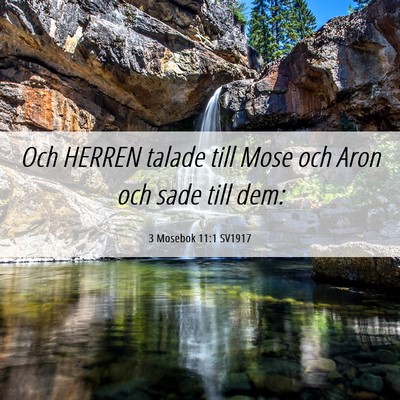 Picture 06 - 3 Mosebok 11:1 SV1917 - Och HERREN talade till Mose och Aron och sade - Bible Verse Picture