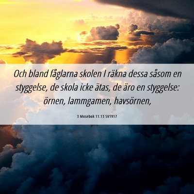 Picture 06 - 3 Mosebok 11:13 SV1917 - Och bland fåglarna skolen I räkna dessa såsom - Bible Verse Picture