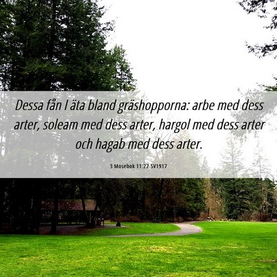 Picture 06 - 3 Mosebok 11:22 SV1917 - Dessa fån I äta bland gräshopporna: arbe med - Bible Verse Picture