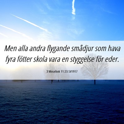 Picture 06 - 3 Mosebok 11:23 SV1917 - Men alla andra flygande smådjur som hava fyra - Bible Verse Picture