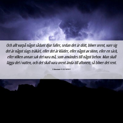 Picture 06 - 3 Mosebok 11:32 SV1917 - Och allt varpå något sådant djur faller, sedan - Bible Verse Picture