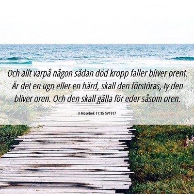 Picture 06 - 3 Mosebok 11:35 SV1917 - Och allt varpå någon sådan död kropp faller - Bible Verse Picture
