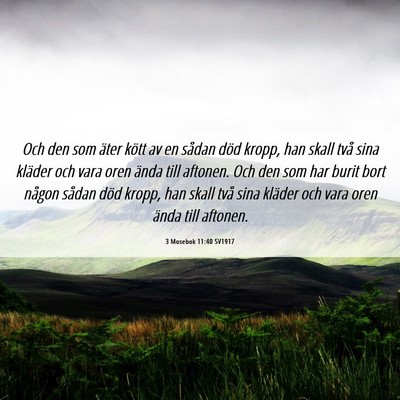 Picture 06 - 3 Mosebok 11:40 SV1917 - Och den som äter kött av en sådan död kropp, - Bible Verse Picture