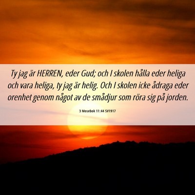 Picture 06 - 3 Mosebok 11:44 SV1917 - Ty jag är HERREN, eder Gud; och I skolen hålla - Bible Verse Picture