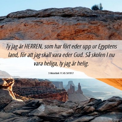 Picture 06 - 3 Mosebok 11:45 SV1917 - Ty jag är HERREN, som har fört eder upp ur - Bible Verse Picture