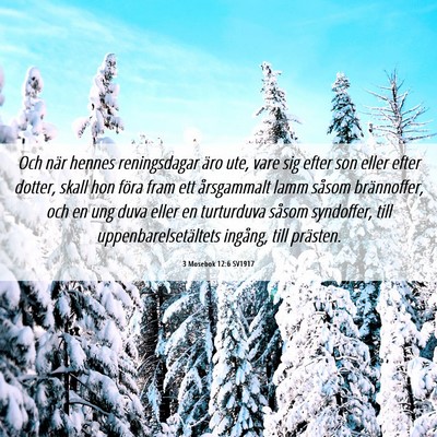 Picture 06 - 3 Mosebok 12:6 SV1917 - Och när hennes reningsdagar äro ute, vare sig - Bible Verse Picture