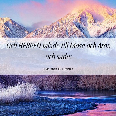 Picture 06 - 3 Mosebok 13:1 SV1917 - Och HERREN talade till Mose och Aron och - Bible Verse Picture