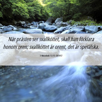 Picture 06 - 3 Mosebok 13:15 SV1917 - När prästen ser svallköttet, skall han - Bible Verse Picture