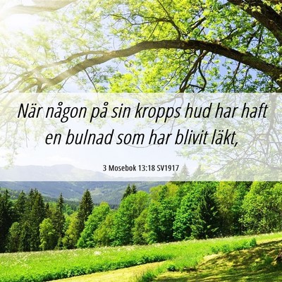 Picture 06 - 3 Mosebok 13:18 SV1917 - När någon på sin kropps hud har haft en bulnad - Bible Verse Picture