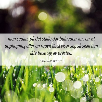 Picture 06 - 3 Mosebok 13:19 SV1917 - men sedan, på det ställe där bulnaden var, en - Bible Verse Picture