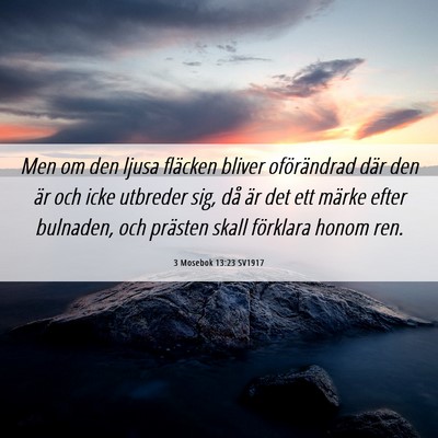 Picture 06 - 3 Mosebok 13:23 SV1917 - Men om den ljusa fläcken bliver oförändrad - Bible Verse Picture