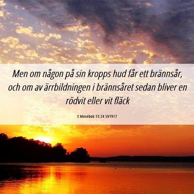 Picture 06 - 3 Mosebok 13:24 SV1917 - Men om någon på sin kropps hud får ett - Bible Verse Picture
