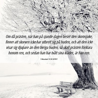 Picture 06 - 3 Mosebok 13:34 SV1917 - Om då prästen, när han på sjunde dagen beser - Bible Verse Picture