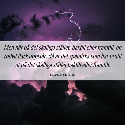 Picture 06 - 3 Mosebok 13:42 SV1917 - Men när på det skalliga stället, baktill eller - Bible Verse Picture