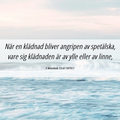 Picture 06 - 3 Mosebok 13:47 SV1917 - När en klädnad bliver angripen av spetälska, - Bible Verse Picture