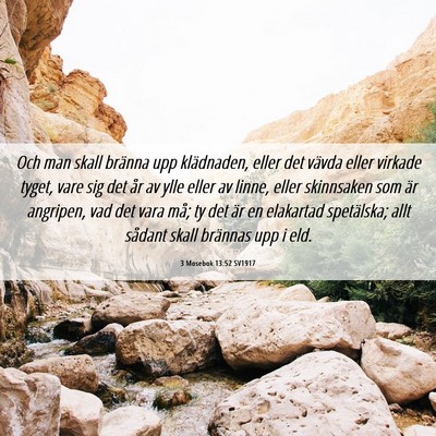 Picture 06 - 3 Mosebok 13:52 SV1917 - Och man skall bränna upp klädnaden, eller det - Bible Verse Picture