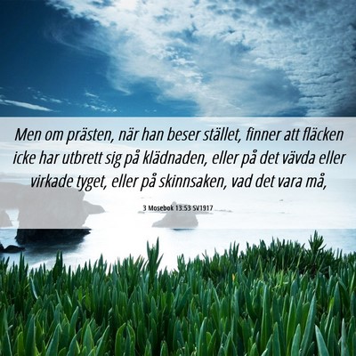 Picture 06 - 3 Mosebok 13:53 SV1917 - Men om prästen, när han beser stället, finner - Bible Verse Picture