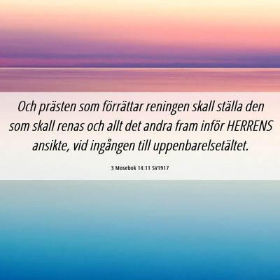 Picture 06 - 3 Mosebok 14:11 SV1917 - Och prästen som förrättar reningen skall - Bible Verse Picture