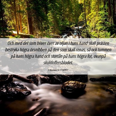 Picture 06 - 3 Mosebok 14:17 SV1917 - Och med det som bliver över av oljan i hans hand - Bible Verse Picture