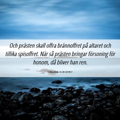 Picture 06 - 3 Mosebok 14:20 SV1917 - Och prästen skall offra brännoffret på altaret - Bible Verse Picture