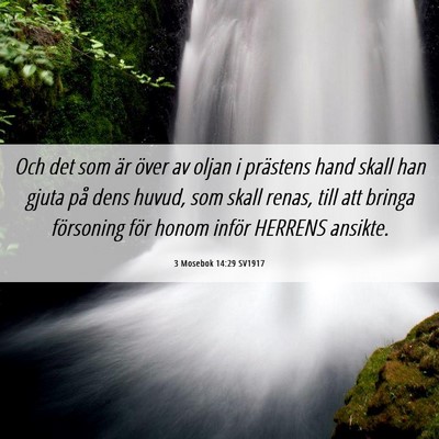 Picture 06 - 3 Mosebok 14:29 SV1917 - Och det som är över av oljan i prästens hand - Bible Verse Picture