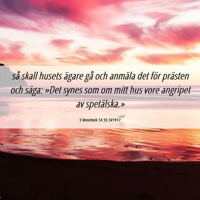 Picture 06 - 3 Mosebok 14:35 SV1917 - så skall husets ägare gå och anmäla det för - Bible Verse Picture