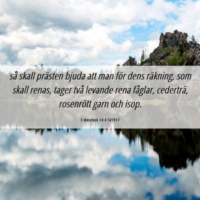 Picture 06 - 3 Mosebok 14:4 SV1917 - så skall prästen bjuda att man för dens - Bible Verse Picture