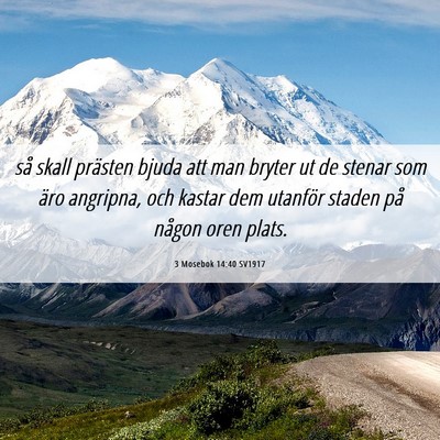 Picture 06 - 3 Mosebok 14:40 SV1917 - så skall prästen bjuda att man bryter ut de - Bible Verse Picture
