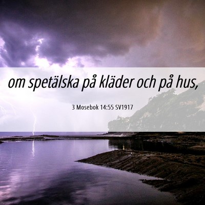 Picture 06 - 3 Mosebok 14:55 SV1917 - om spetälska på kläder och på - Bible Verse Picture