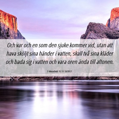 Picture 06 - 3 Mosebok 15:11 SV1917 - Och var och en som den sjuke kommer vid, utan att - Bible Verse Picture