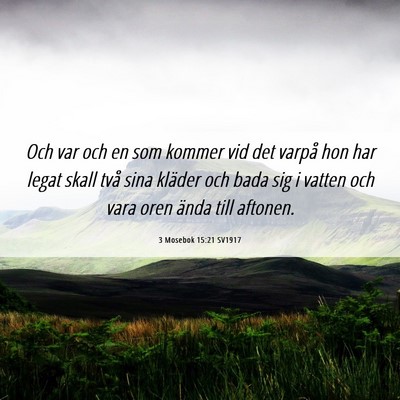 Picture 06 - 3 Mosebok 15:21 SV1917 - Och var och en som kommer vid det varpå hon har - Bible Verse Picture