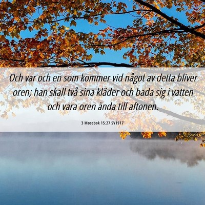 Picture 06 - 3 Mosebok 15:27 SV1917 - Och var och en som kommer vid något av detta - Bible Verse Picture
