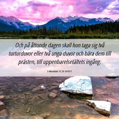 Picture 06 - 3 Mosebok 15:29 SV1917 - Och på åttonde dagen skall hon taga sig två - Bible Verse Picture