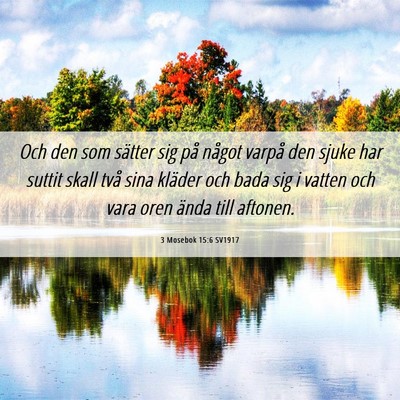 Picture 06 - 3 Mosebok 15:6 SV1917 - Och den som sätter sig på något varpå den - Bible Verse Picture