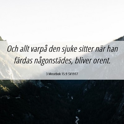 Picture 06 - 3 Mosebok 15:9 SV1917 - Och allt varpå den sjuke sitter när han färdas - Bible Verse Picture