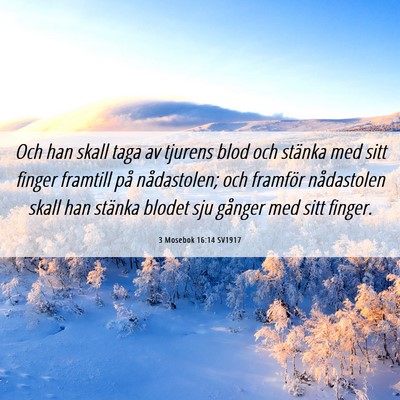 Picture 06 - 3 Mosebok 16:14 SV1917 - Och han skall taga av tjurens blod och stänka - Bible Verse Picture