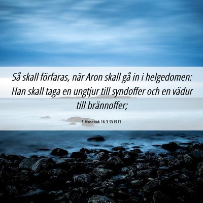 Picture 06 - 3 Mosebok 16:3 SV1917 - Så skall förfaras, när Aron skall gå in i - Bible Verse Picture